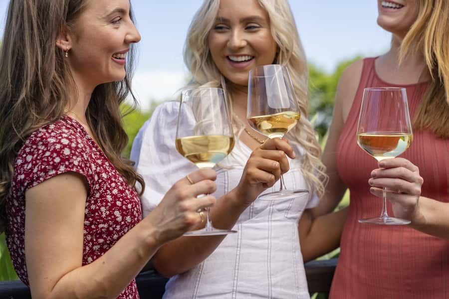 Full-Day Swan Valley Wineries with Lunch and River Cruise - Why the road out and boat back works so well