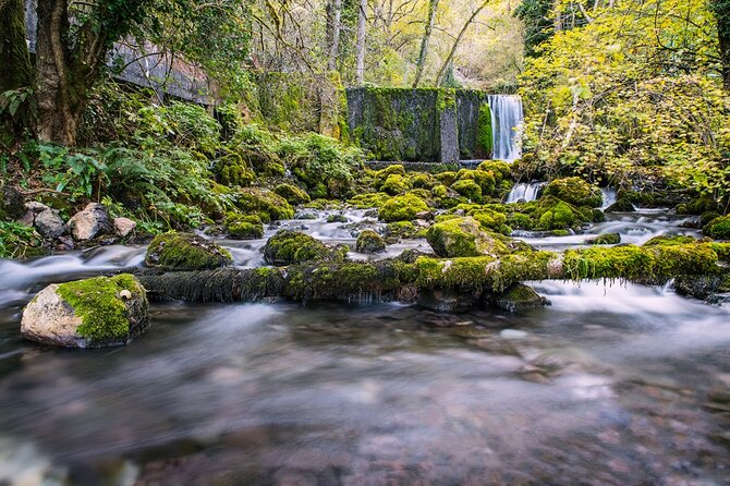 Full-Day Trip from Belgrade: Tara National Park & The Drina River Valley - Is $138.78 good value?