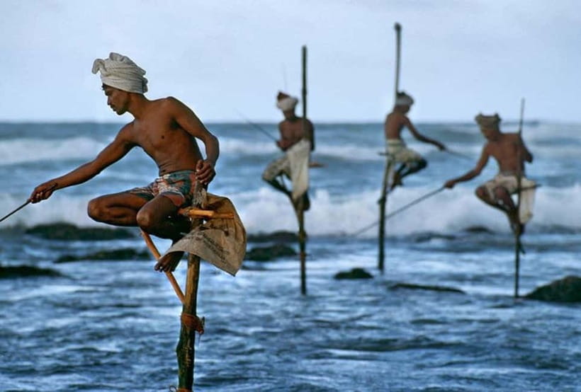 Galle Day Trip - River Safari, Sea Turtle & Stilt Fishermen - Key points at a glance