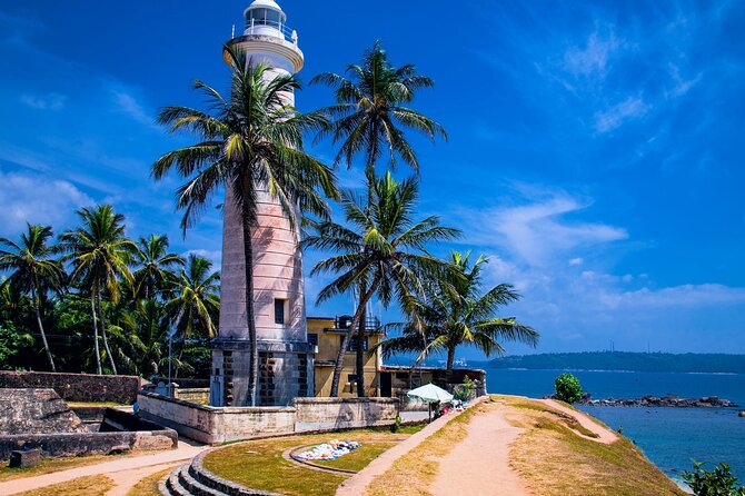 Galle Day Trip with River Safari, Sea Turtle & Stilt Fishermen - Sea turtles at Induruwa