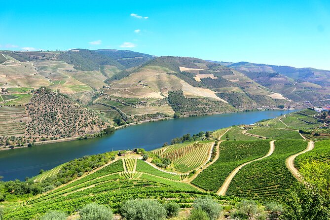 Genuine Douro Valley Tour: Visit 2 Wineries, Lunch & River Cruise - Why this Douro Valley day works