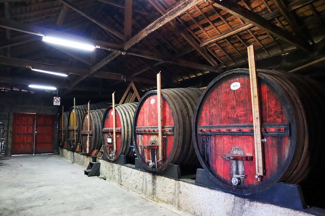 Genuine Douro Valley Tour: Visit 2 Wineries, Lunch & River Cruise - The drawbacks you should understand