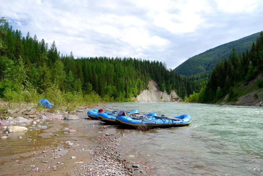 Glacier National Park: Scenic Float on the Flathead River - Key points to know before you book