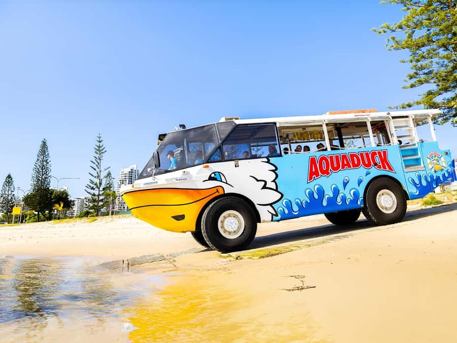 Gold Coast: 1-Hour Land and Water Duck Tour - The splash down is the moment children remember