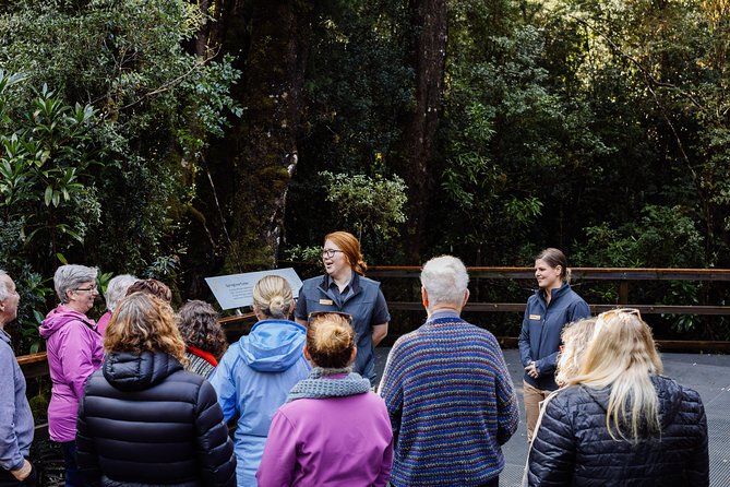 Gordon River Cruise departing from Strahan - Sarah Island and Tasmania’s convict past
