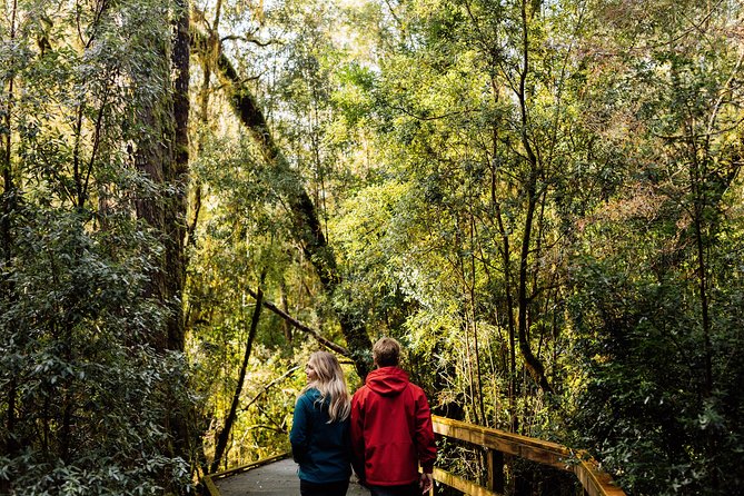 Gordon River Cruise departing from Strahan - Is the price good value?