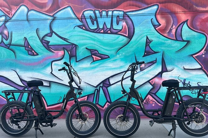 Guided Asheville E-bike Tour of River Arts, Mountains and Murals - Starting at Carrier Park and following the French Broad