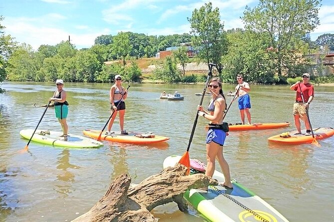 Guided Paddleboard Tour Through Asheville's River Arts District - Four miles through Asheville without leaving the river