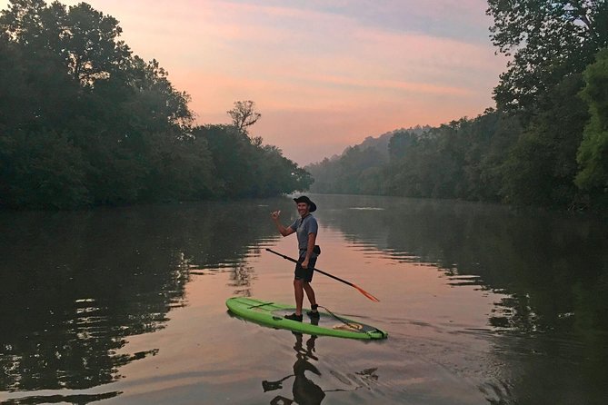 Guided Paddleboard Tour Through Asheville's River Arts District - Herons, turtles, deer, and the small details