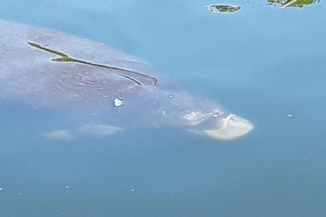 Guided Two Hour Boat Tour of the Indian River Lagoon - Why the six-person limit matters