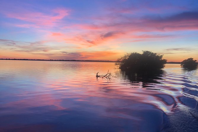 Guided Two Hour Boat Tour of the Indian River Lagoon - Morning or afternoon: choosing your departure