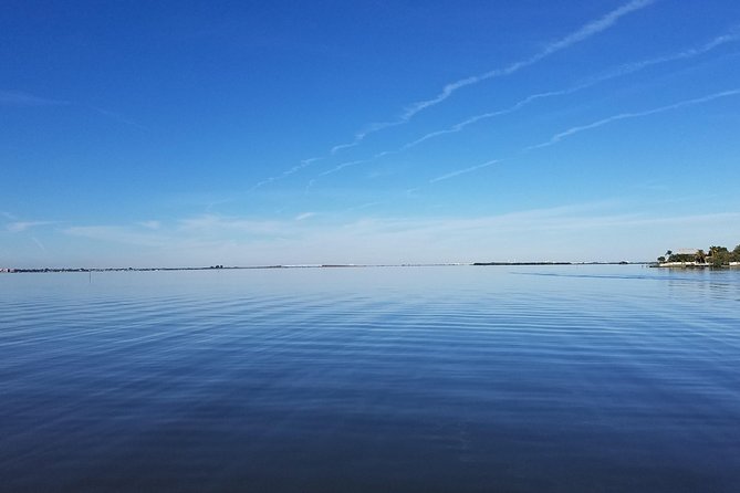 Guided Two Hour Boat Tour of the Indian River Lagoon - Along Merritt Island National Wildlife Refuge
