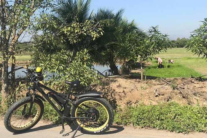 Half-day E-bike Countryside and rice paddies (flat land, GUIDED) - Riding beside the Ping River