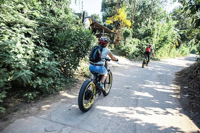 Half-day E-bike Countryside and rice paddies (flat land, GUIDED) - Villages, farms, and the Wat Chang Nam site
