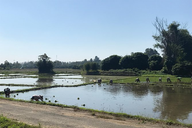 Half-day E-bike Countryside and rice paddies (flat land, GUIDED) - Is four hours the right length?