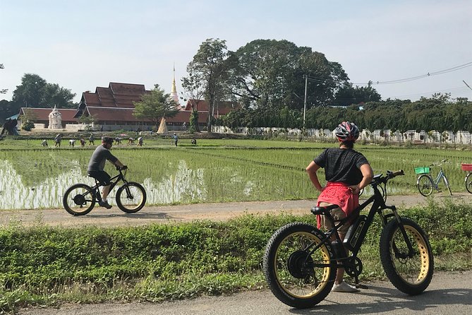 Half-day E-bike Countryside and rice paddies (flat land, GUIDED) - What the $50.52 price really covers