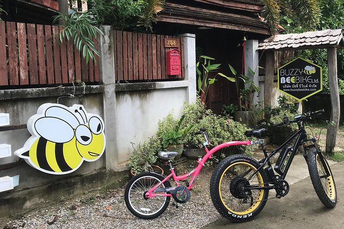 Half-day E-bike Countryside and rice paddies (flat land, GUIDED) - Wat Ton Kwen and the first rural roads