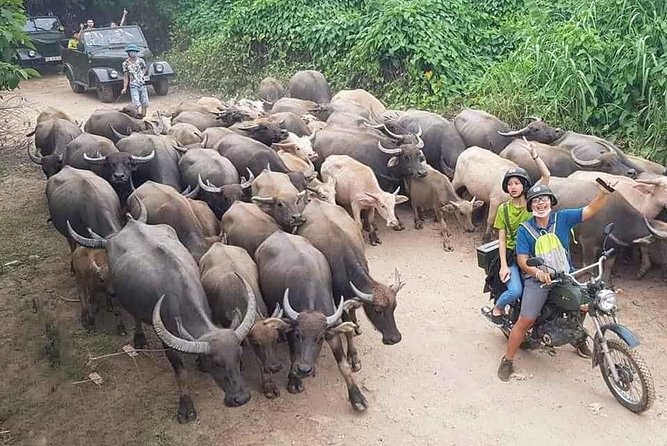 Hanoi Countryside Motorbike Tour: Red River Culture & Daily Life - Key points to know before booking