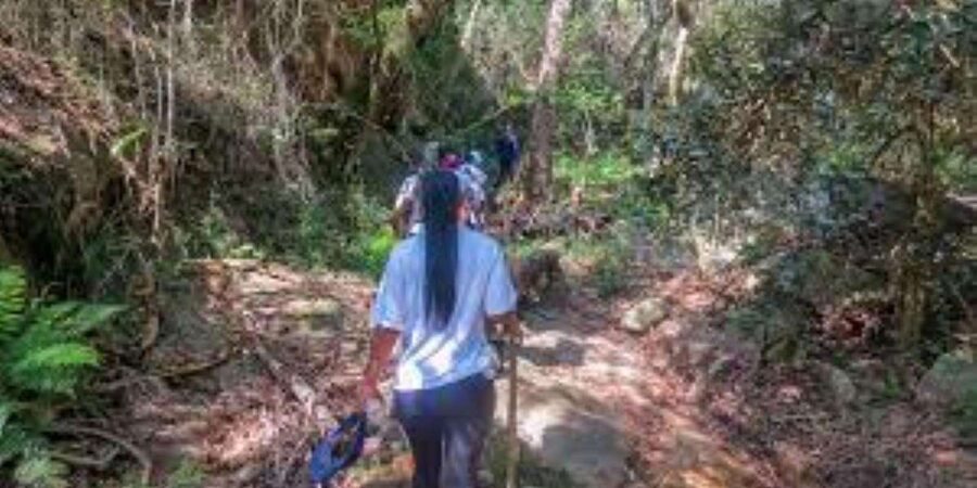 Hazyview : Sabie River Hiking Trail 12km - What the trail feels like underfoot