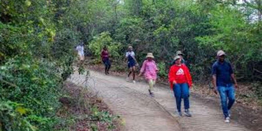 Hazyview : Sabie River Hiking Trail 12km - The guide can shape the quality of the walk