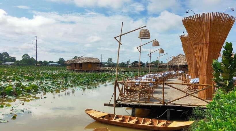 HCM: Authentic Dong Thap Mekong Delta Day Trip & Boat Ride - Rice fields and lotus ponds around Cao Lanh