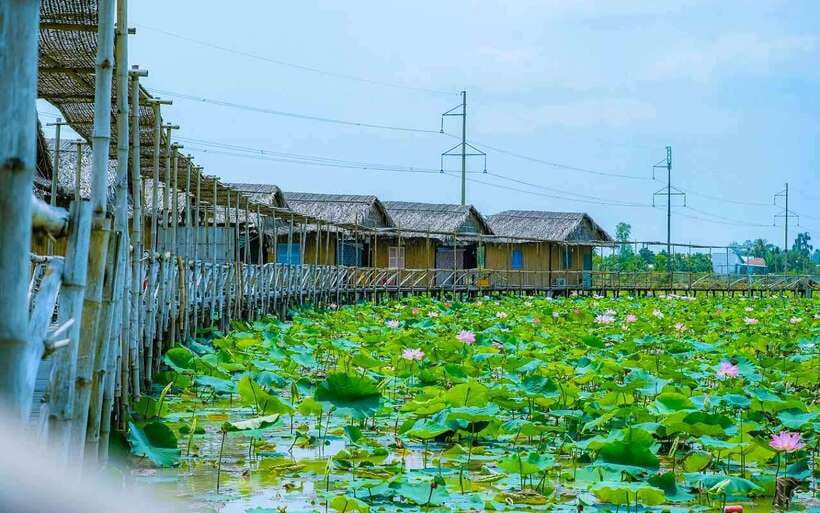 HCM: Authentic Dong Thap Mekong Delta Day Trip & Boat Ride - Lunch with Mekong Delta specialties