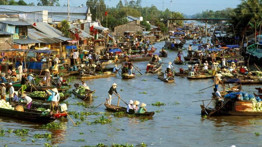 HCMC: Cai Rang Floating Market & Mekong Delta Private Tour - Who should book this Mekong Delta day trip?