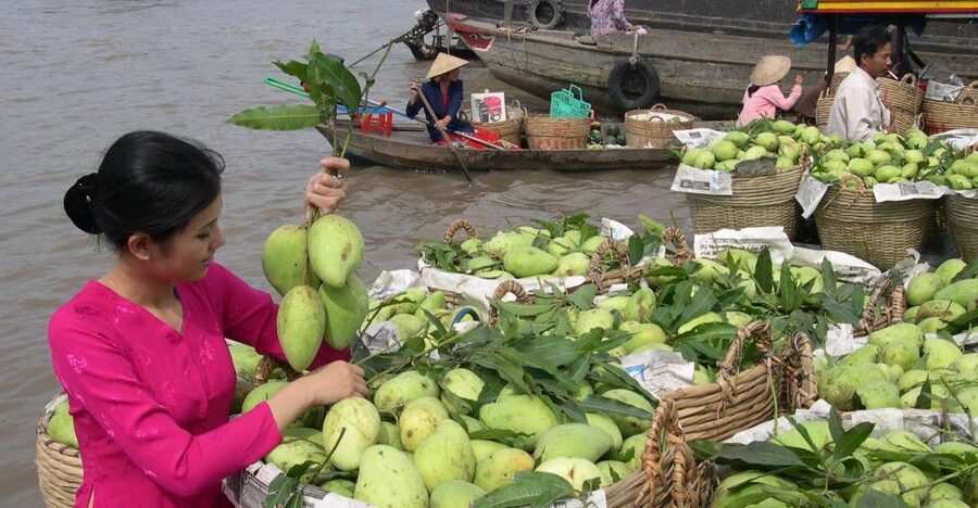 HCMC: Cai Rang Floating Market & Mekong Delta Private Tour - Boat-to-boat breakfast at Cai Rang
