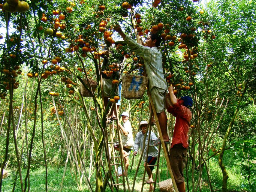 HCMC: Cai Rang Floating Market & Mekong Delta Private Tour - Bee farm, honey tea, fruit, and village music