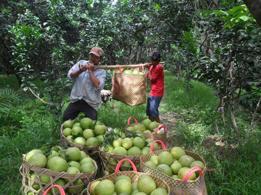 HCMC: Cai Rang Floating Market & Mekong Delta Private Tour - What the guides add to the day