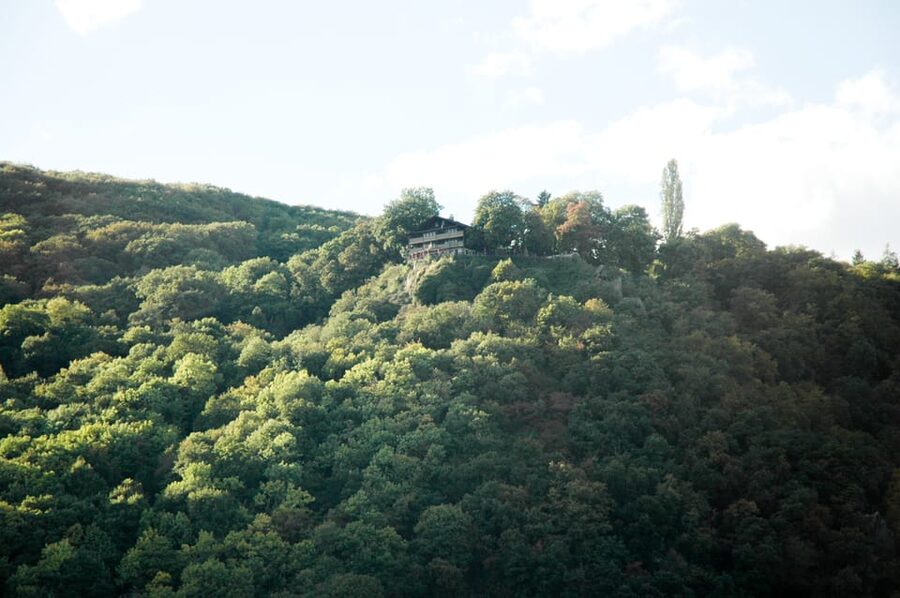 Heidelberg and Rhine Combination Tour from Frankfurt - Is $304 a fair price?
