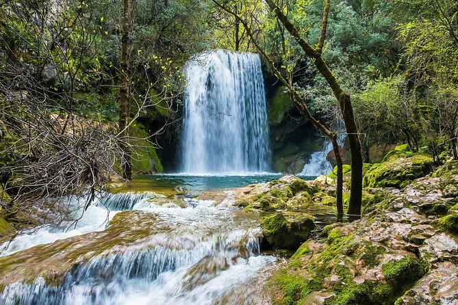 Hiking in Conimbriga and Mouros River Valley - What the guide adds to the day