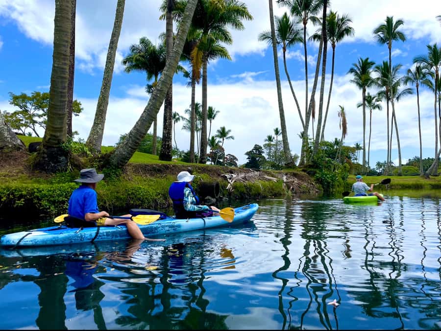 Hilo: Wailoa River to King Kamehameha Guided Kayaking Tour - Why Wailoa River Makes a Good Hilo Outing