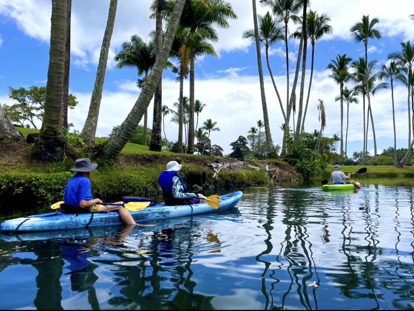Hilo: Wailoa River to King Kamehameha Guided Kayaking Tour - What the $125 Price Includes