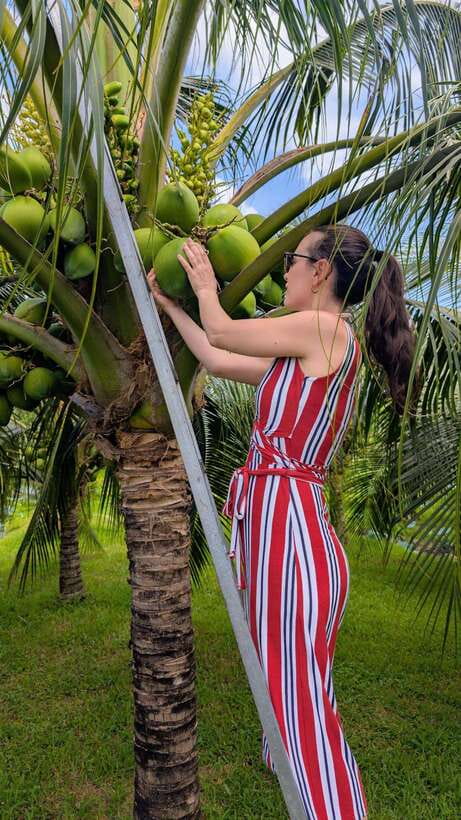 Ho Chi Minh: 1-Day Mekong Delta Tour-Floating Market & Islet - Making cakes, pop rice, and the flying menu