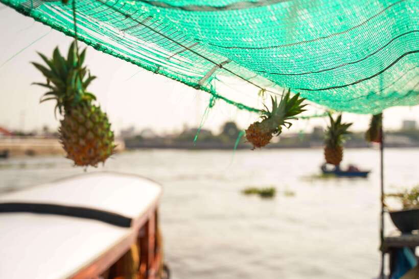 Ho Chi Minh: 3-Day Mekong Delta & Optional Exit to PhnomPenh - Who should book this Mekong Delta tour?