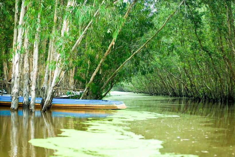 Ho Chi Minh: 3-Day Mekong Delta & Optional Exit to PhnomPenh - Day three: floating villages and Cham heritage