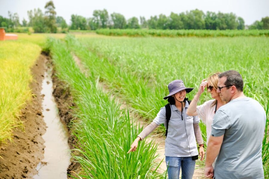 Ho Chi Minh City: Mekong Delta Full-Day Speedboat Tour - Cao Dai culture at Thu Thua Temple