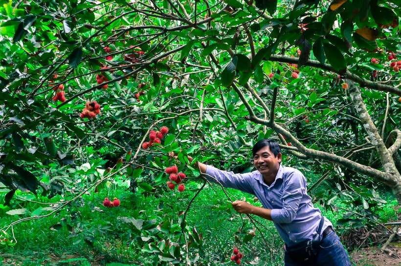 Ho Chi Minh City: Mekong Delta Tour with Sampan Journey - How the $13 price works in your favor