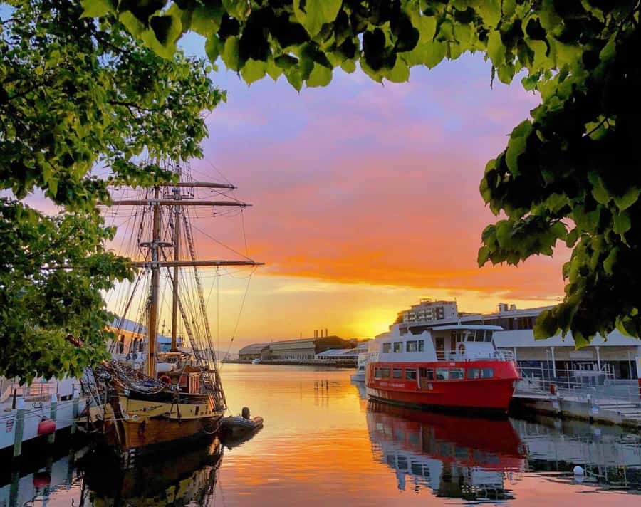 Hobart: Morning River Cruise - Following the Derwent past the Botanical Gardens
