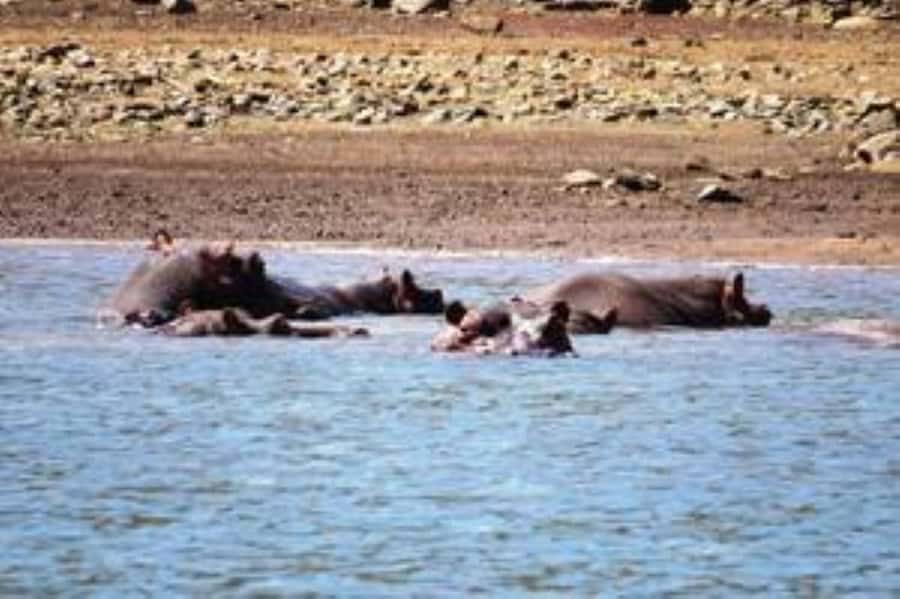 Hoedspruit: Blyde River Canyon Dam Boat Cruise - Seeing the Three Rondawels from Blyde Dam