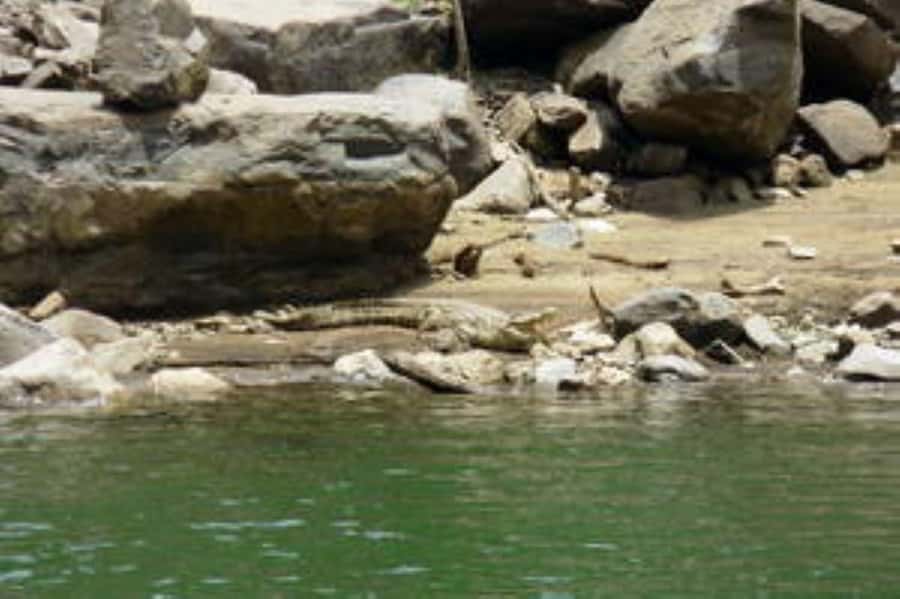 Hoedspruit: Blyde River Canyon Dam Boat Cruise - What the guide adds to the ride