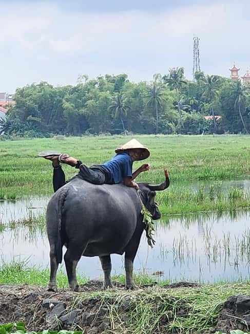 Hoi An: Countryside Villages and River Islands Private Tour - Cam Kim Island and the rice paper lesson