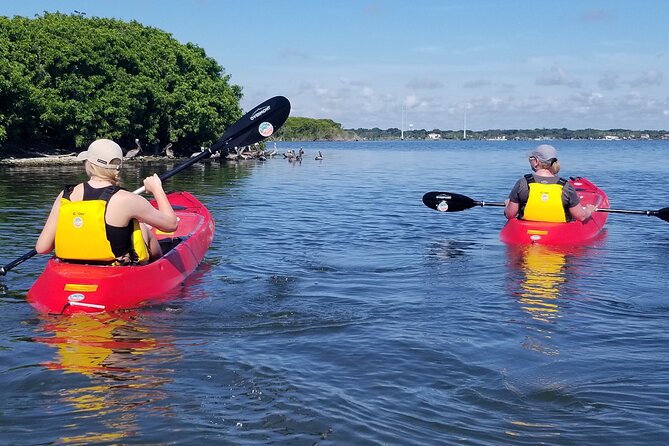 Indian River Clear Bottom Kayak or Paddleboarding Manatee and Dolphin Tour - Setting out from Kiwanis Island Park