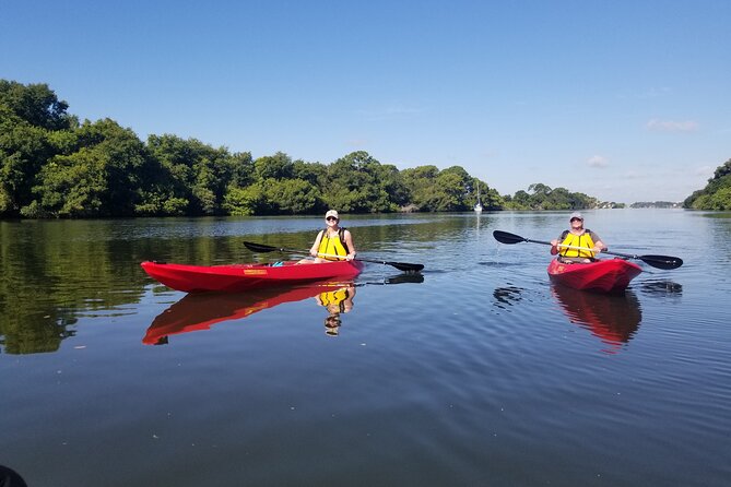 Indian River Clear Bottom Kayak or Paddleboarding Manatee and Dolphin Tour - The best departure time for wildlife
