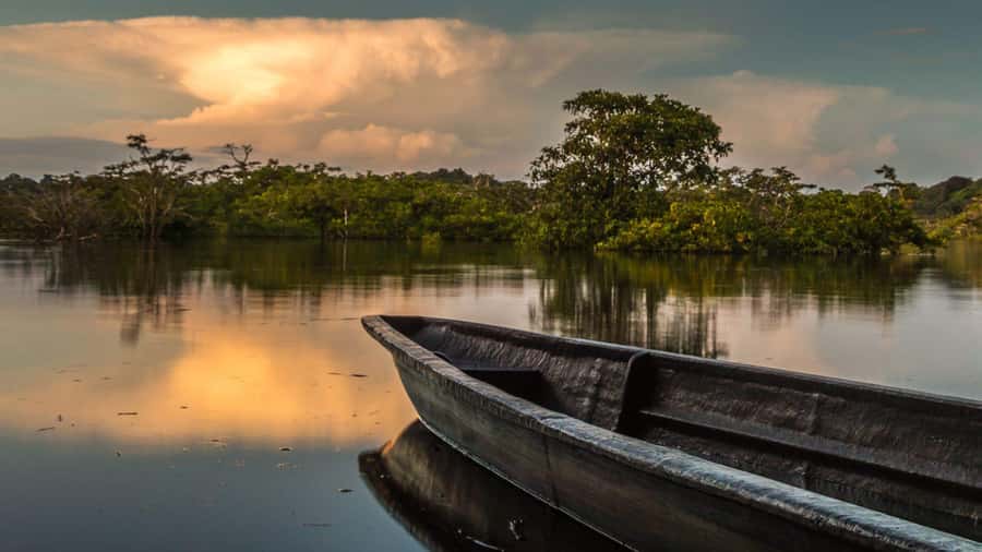 Iquitos: 3 Days and 2 Nights Guided Amazon Jungle Tour - Is US$434 good value for three days?