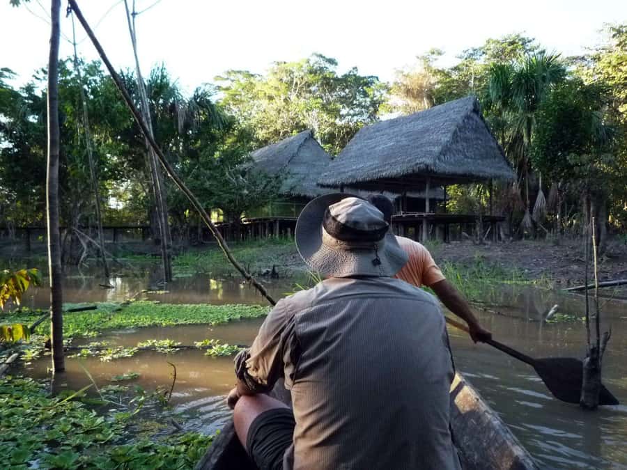Iquitos: 3 Days and 2 Nights Guided Amazon Jungle Tour - A night walk among insects and forest sounds