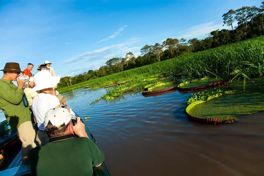 Iquitos: 3 Days and 2 Nights Guided Amazon Jungle Tour - La Ceiba de la Selva on the final morning