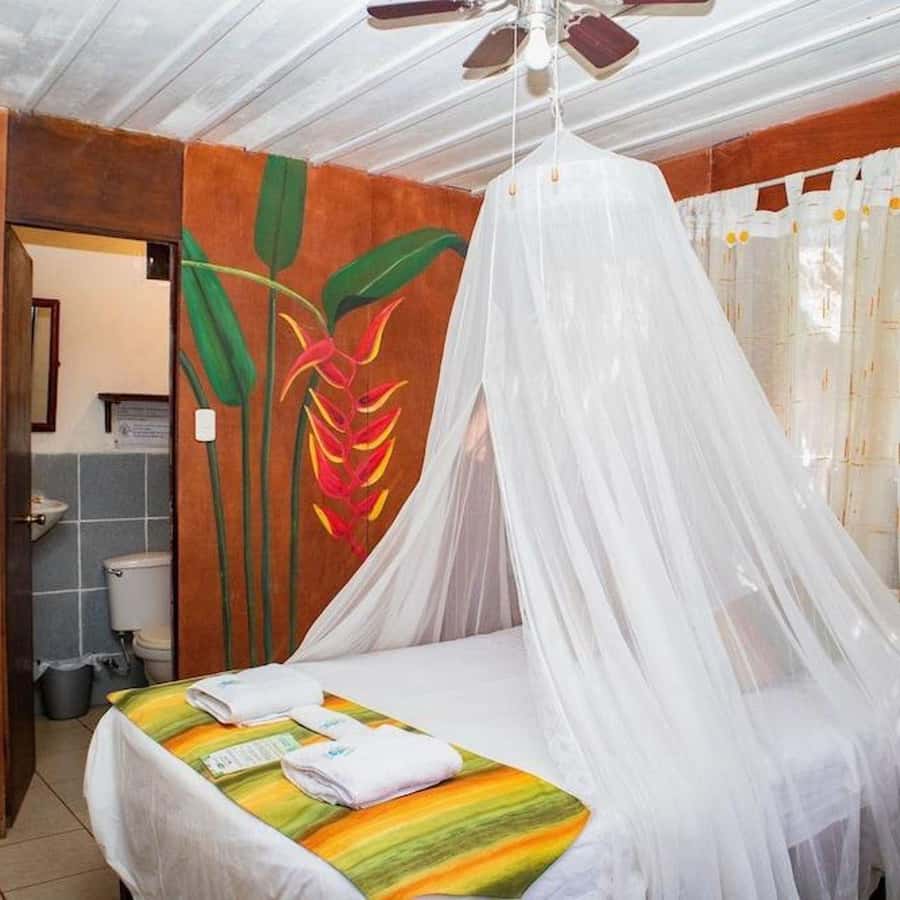 Iquitos: 3 Days and 2 Nights Guided Amazon Jungle Tour - What lodge life is really like