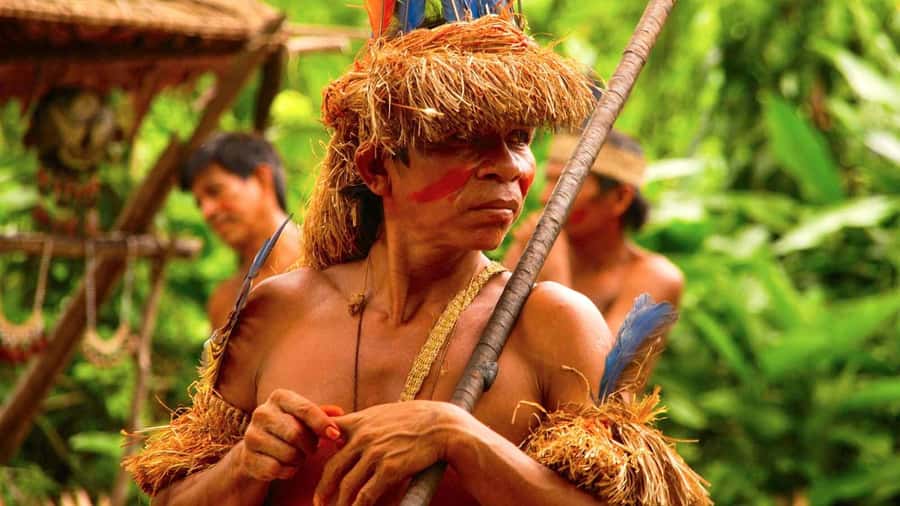 Iquitos: Full Day Tour in the Jungle | Amazon Safari - Lunch at the jungle camp